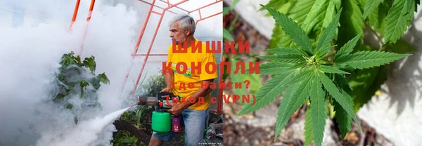 прущие грибы Снежинск