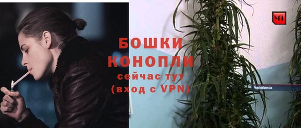 дживик Слюдянка