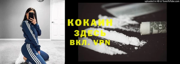таблы Снежногорск