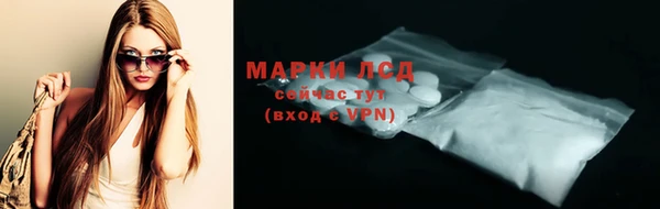 прущие грибы Снежинск