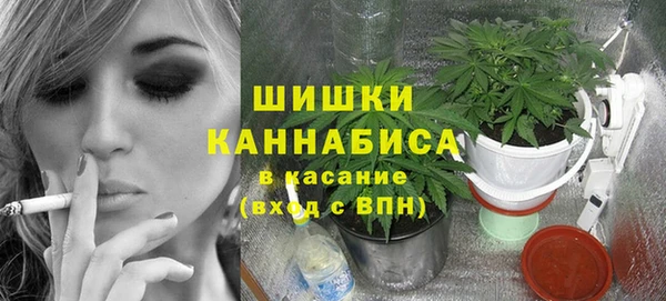 таблы Снежногорск