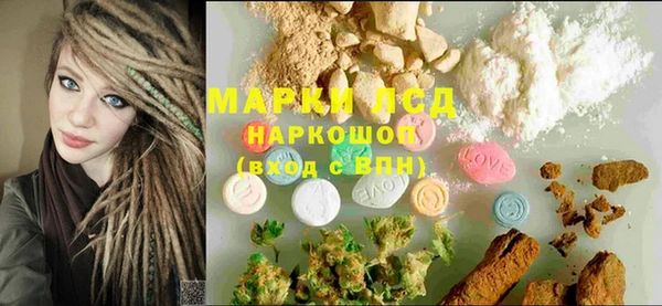 прущие грибы Снежинск