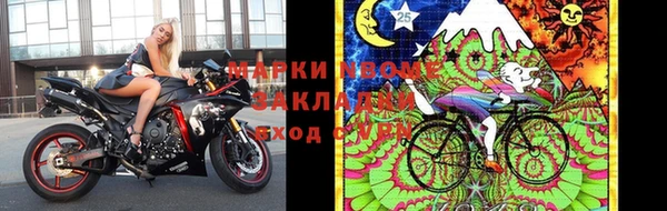 прущие грибы Снежинск
