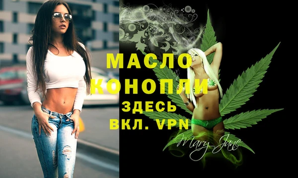 дживик Слюдянка