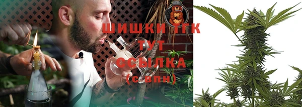 таблы Снежногорск
