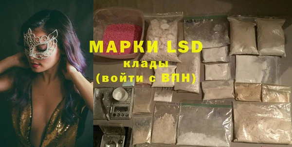 прущие грибы Снежинск