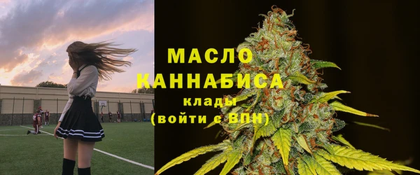 таблы Снежногорск