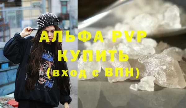 прущие грибы Снежинск