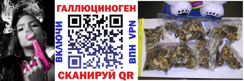 кракен онион Еманжелинск Галлюциногенные грибы Cubensis