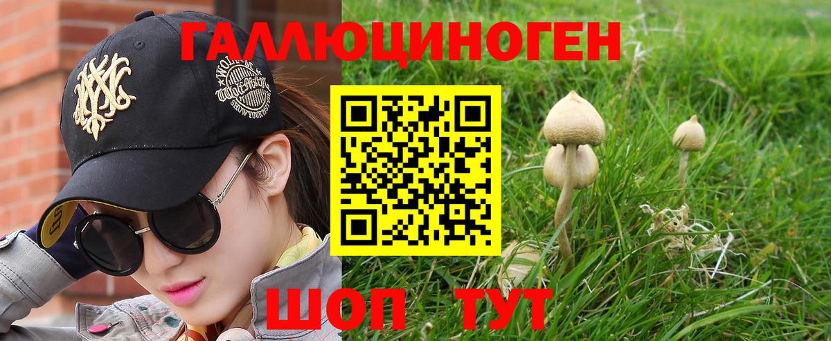 магазин    Еманжелинск  Псилоцибиновые грибы MAGIC MUSHROOMS 