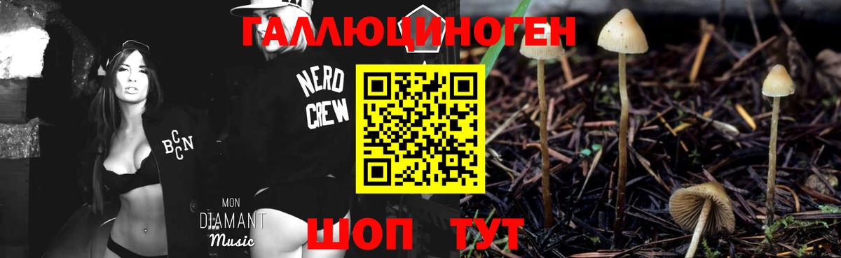 Псилоцибиновые грибы MAGIC MUSHROOMS  Псилоцибиновые грибы Psilocybe  Еманжелинск  Вход с VPN 